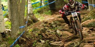 Fast simulation paves road to success for Trek racing bike Fast simulation paves road to success for Trek racing bike
