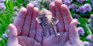 Secretive startup Magic Leap raises another $502 million in funding for AR glasses Secretive startup Magic Leap raises another $502 million in funding for AR glasses