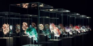 Neri Oxman finds art in biology and decay Neri Oxman finds art in biology and decay