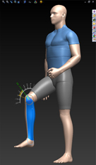 A human model from the Zygote collection for SolidWorks.