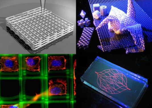A collage of the research into using soft materials for 3D printing: Clockwise from top left: A schematic view of the printing process for 3D hydrogel scaffolds; origami made by printing and folding intricate 3D metallic and ceramic structures; a hydrogel with an embedded microvascular network, for use in tissue engineering; and a hydrogel scaffold seeded with fibroblast cells. (Photos courtesy of R. Shepherd and J. A. Lewis; B. Y. Ahn and J. A. Lewis; C. H. Hansen, S. Kranz, and J. A. Lewis; and R. Shepherd and J. A. Lewis.)