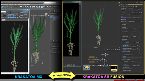 Krakatoa SR is being used for the upcoming 3D animated feature Tarzan. Ambient Enterainment added Krakatoa to its Naiad-based pipeline. (Image courtesy of Anatomical Travelogue)