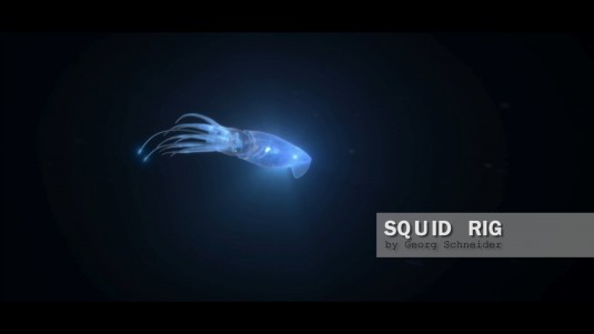 Squid Rig