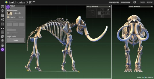 This digitization of a wooly mammoth allows students to study and measure the fossil in detail. (Source: Business Wire)
