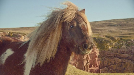 Several cutting edge CG technologies created this commercial of an animated pony, including Furtility for realistic hair. (Source: Siggraph)