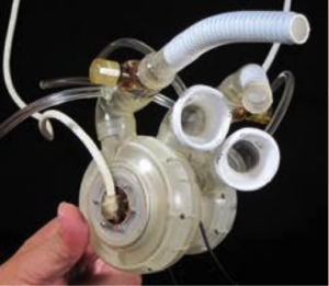 Total Artificial Heart Model