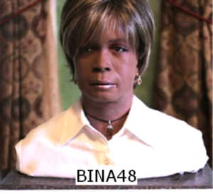 Bina48 is a robot designed by Martine Rothblatt as an artificial intelligence that can develop its own identity. (Source: Wikipedia)
