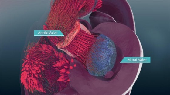 Multi-scale Multi-physics Heart Simulator