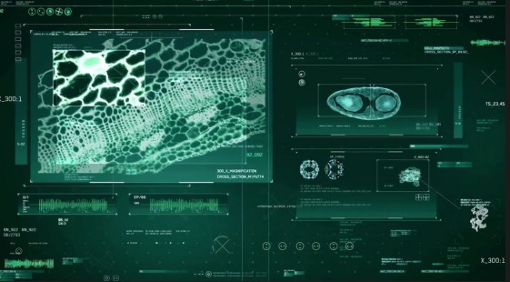 A scientist’s computer screen, designed by Territory Studio for Avengers: Age of Ultron. (Source: Territory Studio)