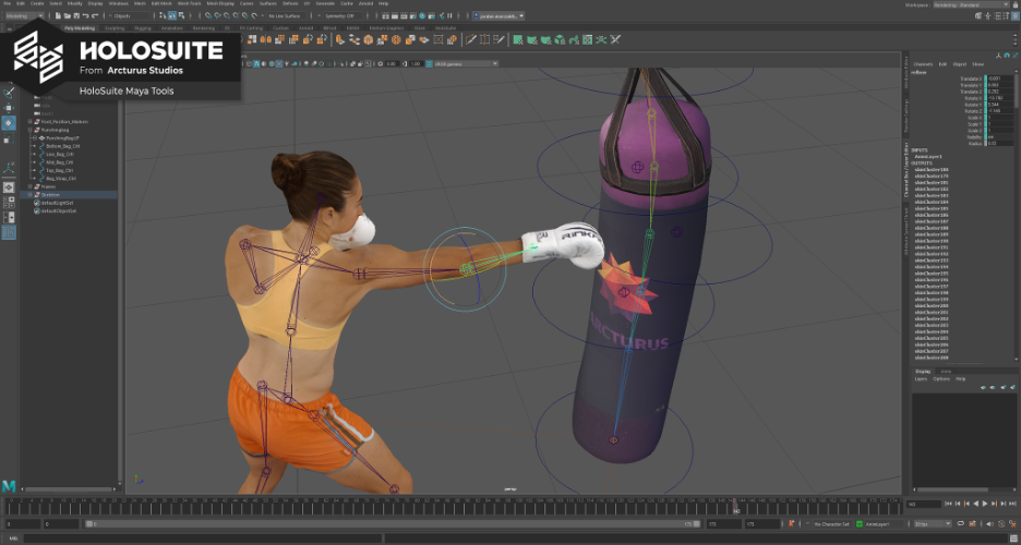 3D character boxing in software interface
